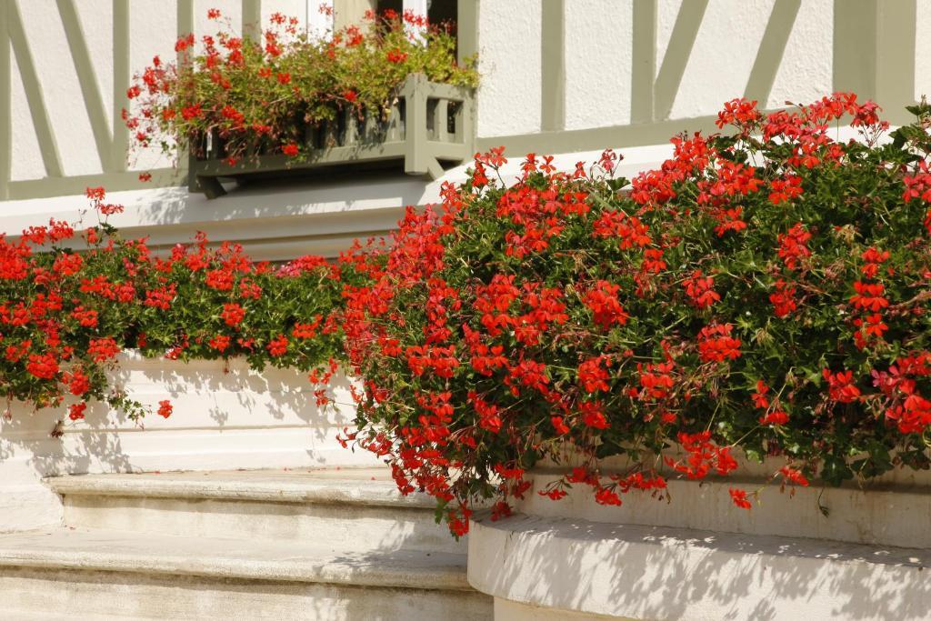 Manoir De Benerville Bed & Breakfast Deauville Exterior photo
